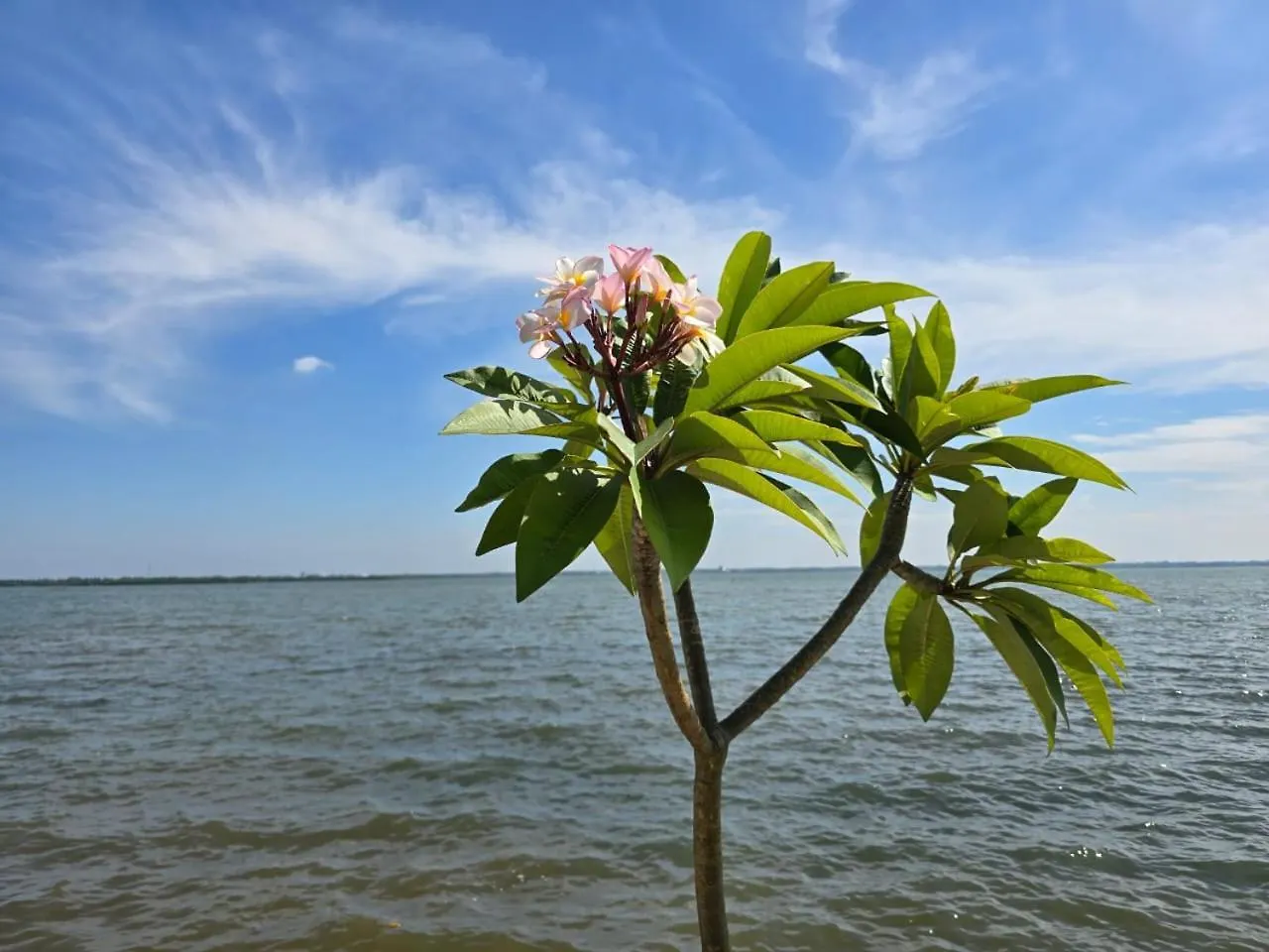 Lagoon Bay Resort Negombo 0*,  Sri Lanka